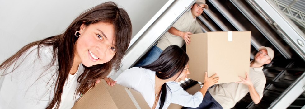 Professional Removalists Goodlands